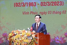 Vĩnh Phúc cần coi trọng phát triển kinh tế đồng bộ với phát triển văn hóa, xã hội