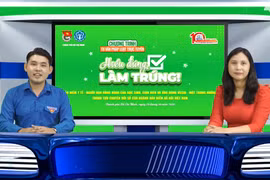 BHXH TP.Hồ Chí Minh: Livestream để lan tỏa chính sách