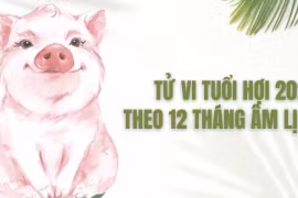 Tử vi tuổi Hợi năm 2023 theo 12 tháng (âm lịch)