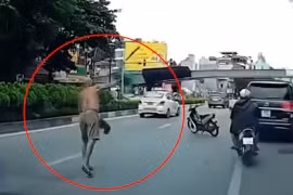 Hà Nội: Bắt người đàn ông đứng giữa đường phi dao cắm vào kính ô tô