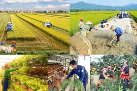 Khẩn trương tháo gỡ khó khăn, thúc đẩy triển khai thực hiện 3 chương trình mục tiêu quốc gia