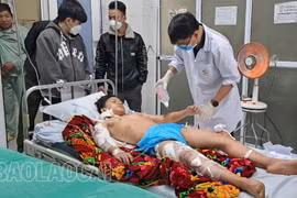 Nuôi chó không đeo rọ mõm, để cắn bị thương sinh viên, một người dân bị xử phạt