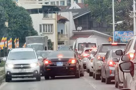 Thành ủy Hà Nội thông tin về xe biển xanh của đơn vị vi phạm luật giao thông