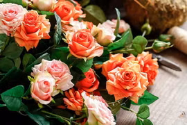 Chỉ còn tình người mãi đọng