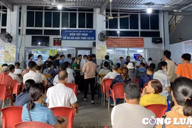 Sợ bị phạt, người dân TP HCM đổ xô đi đổi bằng lái xe