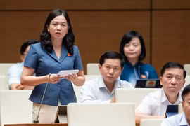 Kiểm soát chặt chẽ, chấm dứt tình trạng cấp giấy phép lái xe cho người nghiện ma túy