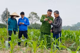 Tăng cường hỗ trợ người dân khi bỏ sổ hộ khẩu, sổ tạm trú giấy