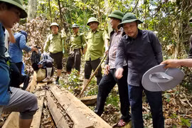 “Máu rừng” vẫn chảy ở xứ Thanh: Phó Chủ tịch UBND tỉnh Thanh Hóa thị sát vụ phá rừng tại Như Xuân