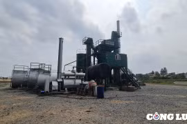 Công ty Đông Anh – 8 "ngang nhiên" để vi phạm pháp luật đất đai, môi trường