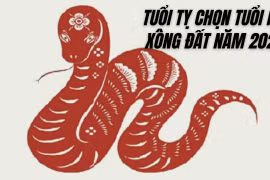 Xem tuổi xông nhà, xông đất năm Quý Mão 2023 cho tuổi Tỵ