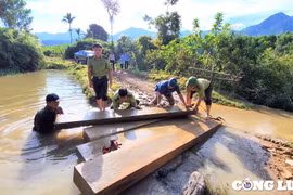 Chi cục Kiểm lâm tỉnh Thanh Hoá chỉ đạo kiểm tra phản ánh của Báo Nhà báo và Công luận