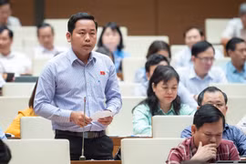 Quy định trách nhiệm của cơ quan quản lý nhà nước trong đảm bảo bí mật thông tin