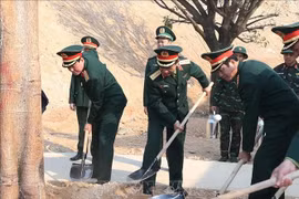 Bộ Quốc phòng phát động “Tết trồng cây đời đời nhớ ơn Bác Hồ”