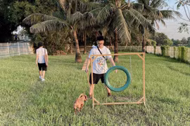 Nuôi chó mèo ở chung cư và những vấn đề gây tranh cãi