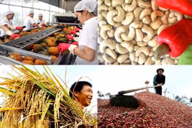 Xuất khẩu rau quả, đón tín hiệu tích cực những tháng đầu năm 2023