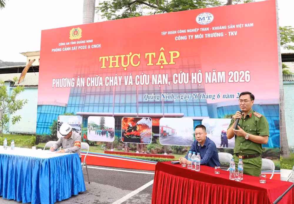 p1.jpg