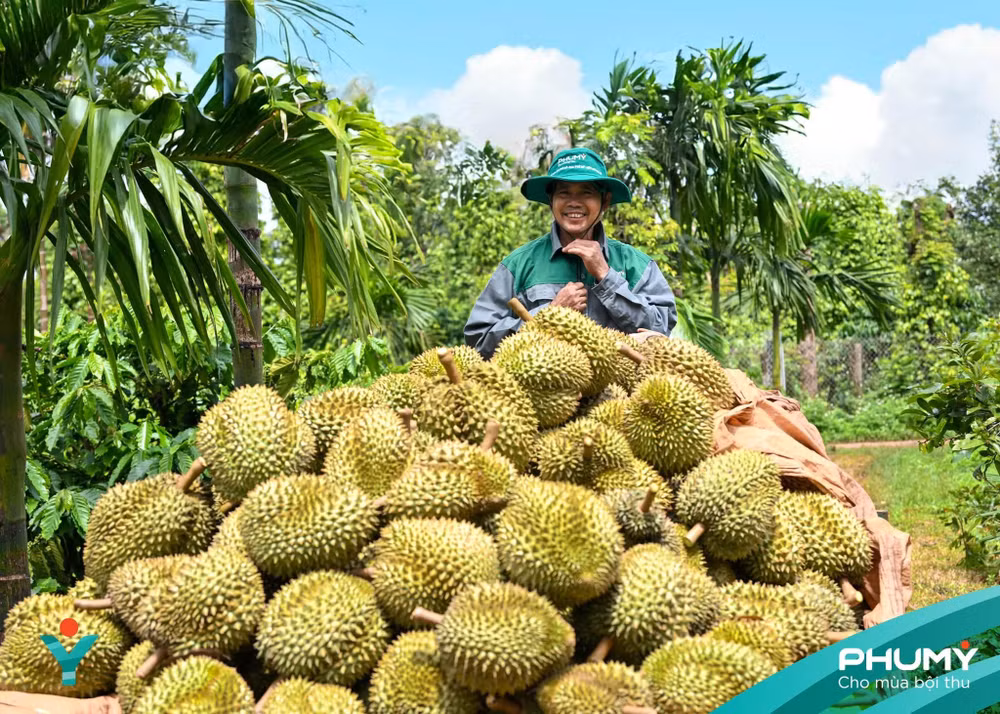 buc-anh-tham-gia-trien-lam-anh-nghe-thuat-nu-hoang-cua-dai-ngan-xanh.jpg