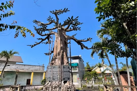 Di tích Nước Mặn gắn với việc hình thành chữ Quốc ngữ như thế nào?