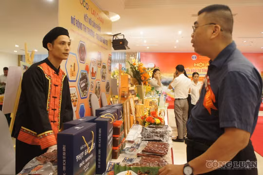 Chương trình OCOP nâng cao chuỗi giá trị và sức cạnh tranh cho nông sản Lai Châu