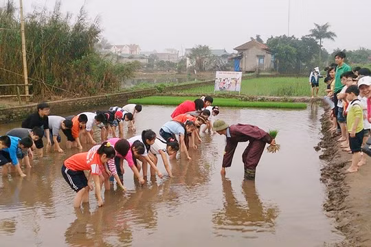 Hà Nội xây dựng nông thôn mới: Đánh thức sức sáng tạo từ những làng quê