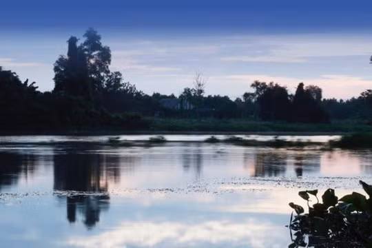Trưng bày ‘Chúng tôi, những dòng sông Nam Bộ’ lan tỏa thông điệp phát triển bền vững