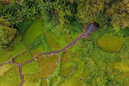 UNESCO đồng hành với tỉnh Quảng Trị xây dựng hồ sơ ghi danh các di sản 