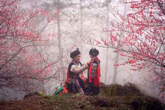 Tuyên Quang sẵn sàng đón Đoàn tái thẩm định Công viên địa chất toàn cầu UNESCO 