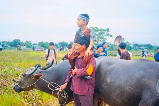 Độc đáo Lễ hội Mục đồng làng Phong Lệ 