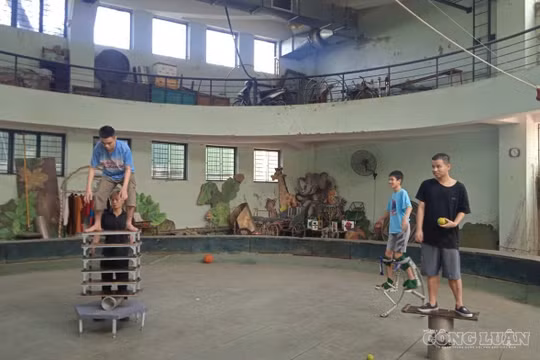 Phát động cuộc thi ảnh quảng bá nghệ thuật Xiếc Việt Nam 