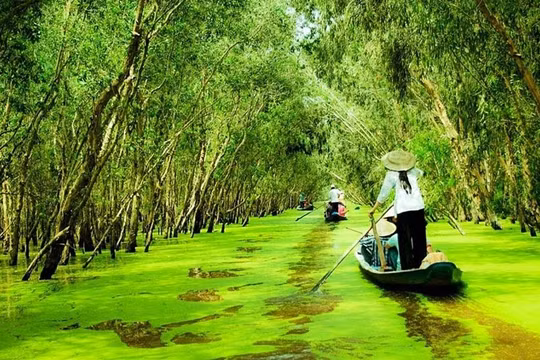 Cà Mau kêu gọi hơn 1.400 tỷ đồng phát triển du lịch sinh thái Vườn quốc gia U Minh Hạ