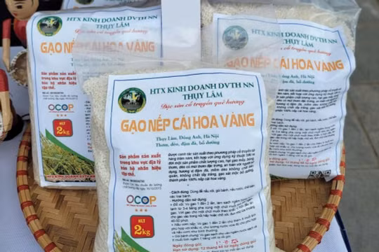 Nếp cái hoa vàng Thụy Lâm: Giữ hương vị truyền thống, nâng tầm nông sản OCOP