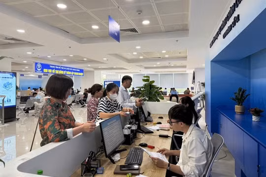 Giám đốc Sở VHTT&DL Hà Nội được giải quyết 5 thủ tục thuộc thẩm quyền UBND Thành phố