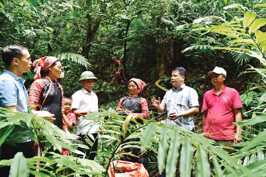 Lai Châu rút ngắn khoảng cách phát triển cho vùng 'lõi nghèo' dân tộc Mảng, La Hủ