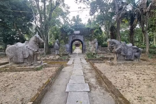 Tỉnh Thanh Hóa chi gần 8,8 tỷ đồng khai quật khảo cổ đền thờ Nguyễn Văn Nghi 