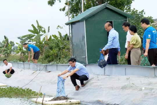 Xã Ứng Hòa mở hướng nâng cao giá trị nuôi trồng thủy sản