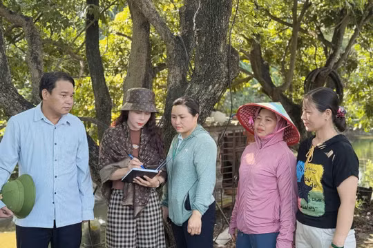 Chương Dương giải quyết gần 12.000 hồ sơ trong năm đầu chính quyền 2 cấp