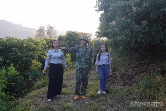 Tạo sinh kế để người trẻ vùng cao lập nghiệp trên quê hương