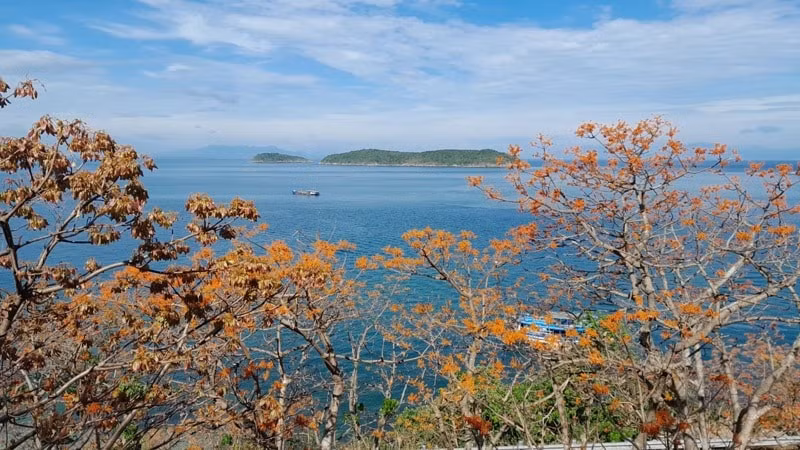 nghe dan vong ngo dong o cu lao cham di san phi vat the quoc gia hinh 2