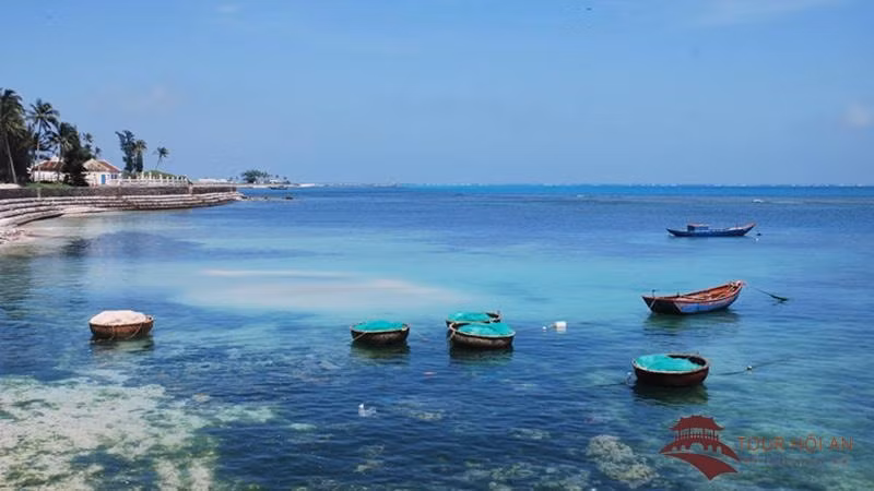 thang 8 di dau hinh 7