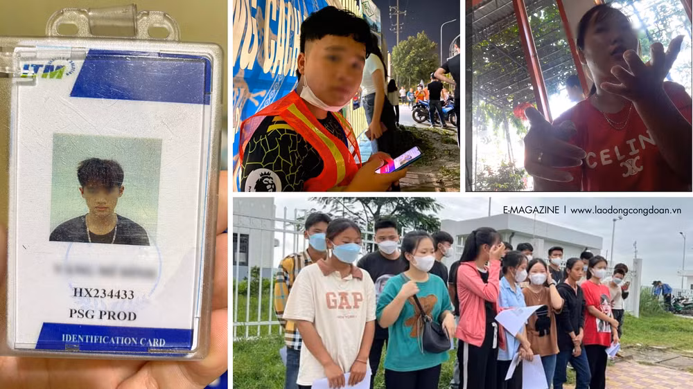 nguoi lam bao dong hanh trong cong tac bao ve quyen loi ich hop phap nguoi lao dong hinh 1