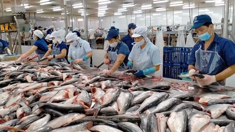 Thi hành Luật Thủy sản: Mở rộng hồ sơ điện tử, đánh giá trực tuyến. Ảnh minh h