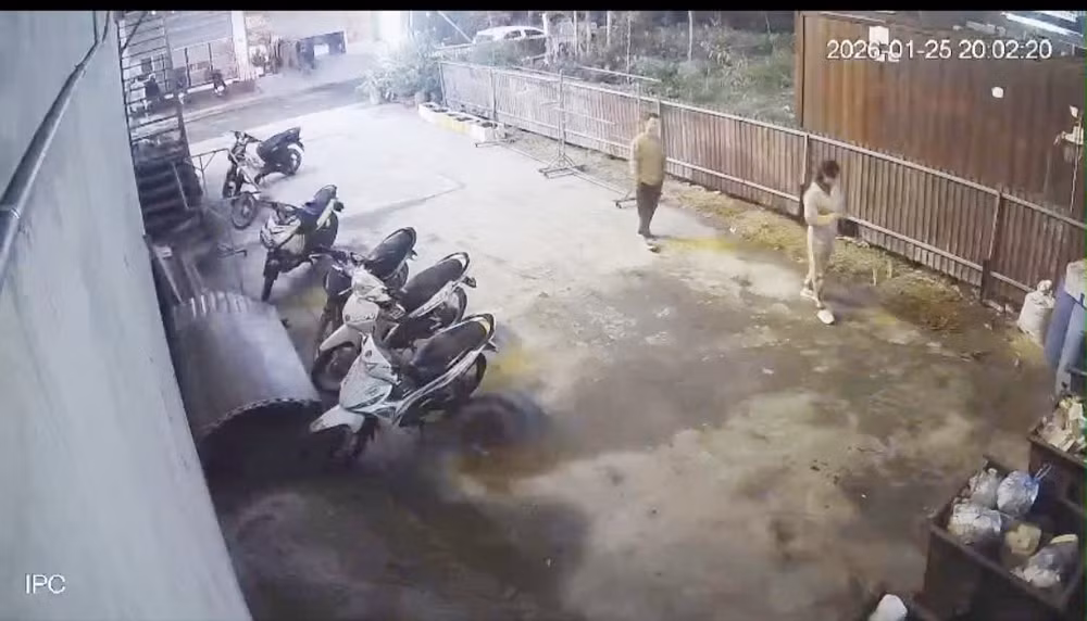 bac.jpg