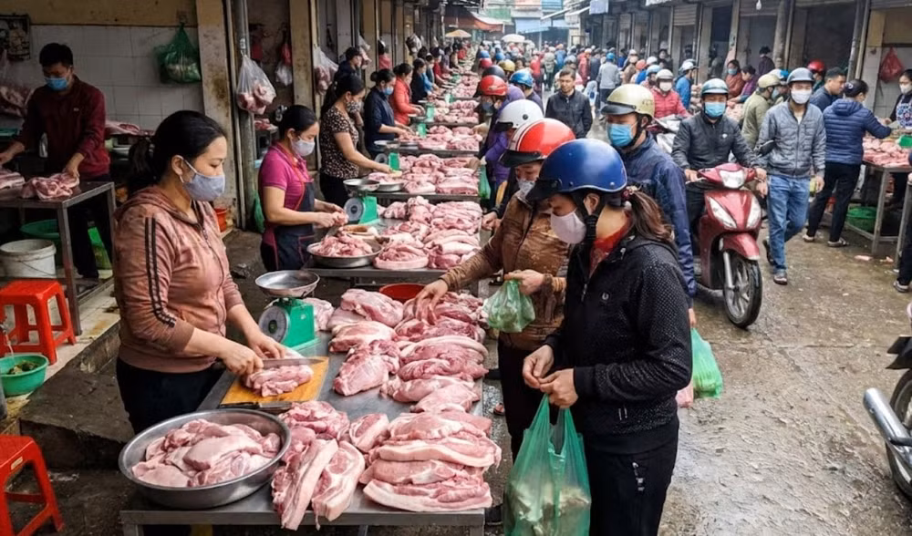giá heo hơi hôm nay 26-1-2026
