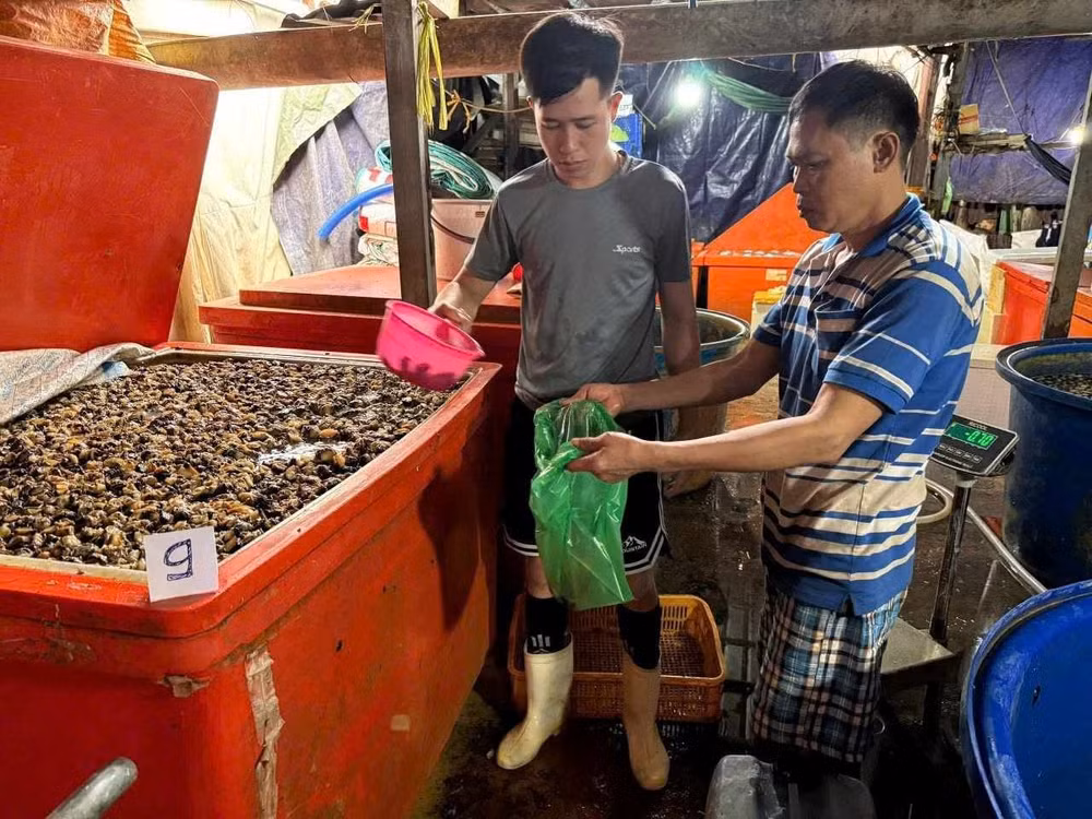 oc-ngam-hoa-chat1.jpg