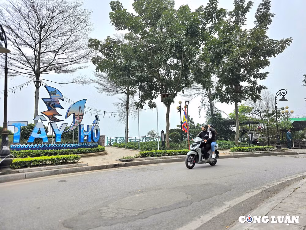 Hồ tây