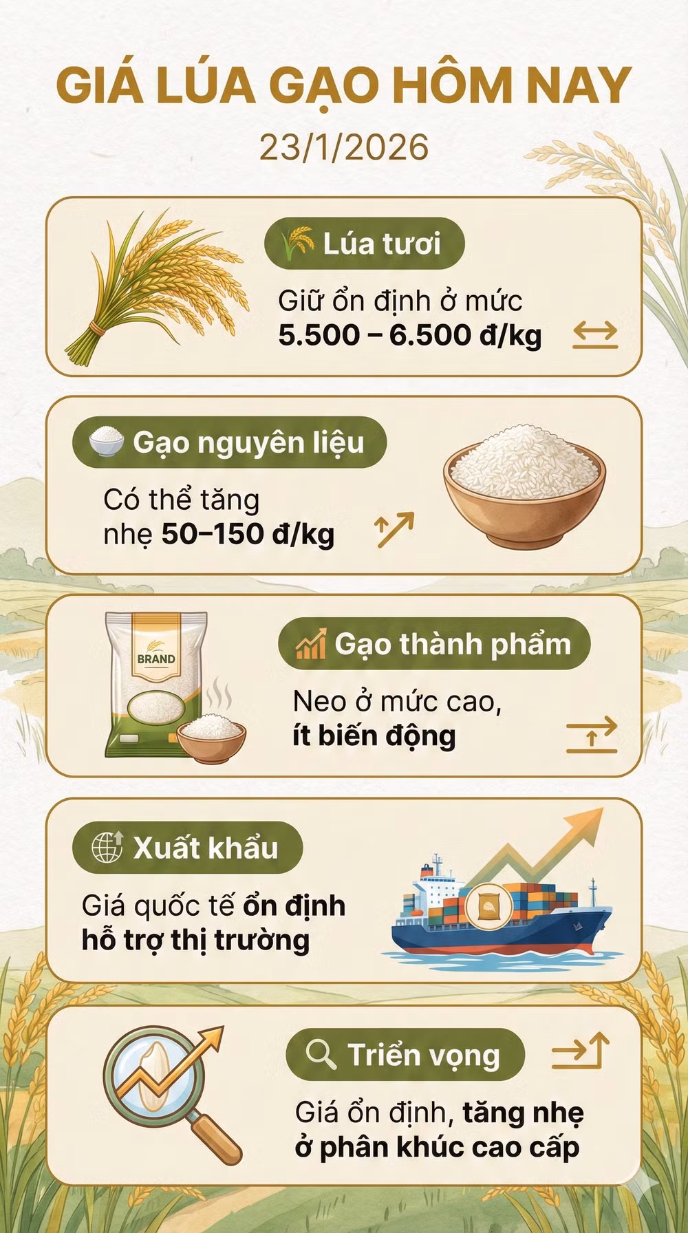 gia lua gao 23-1
