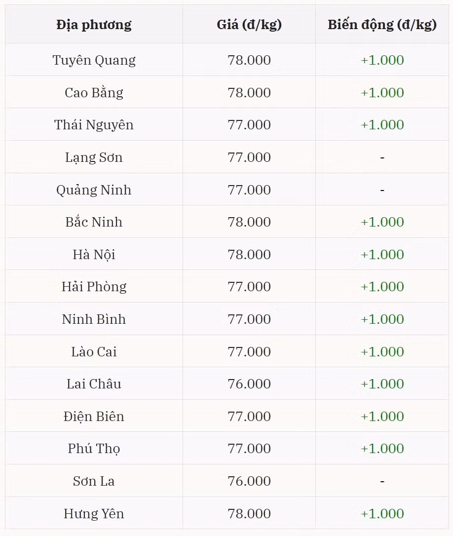 Giá heo hơi hôm nay tại miền Bắc chưa có dấu hiệu dừng lại