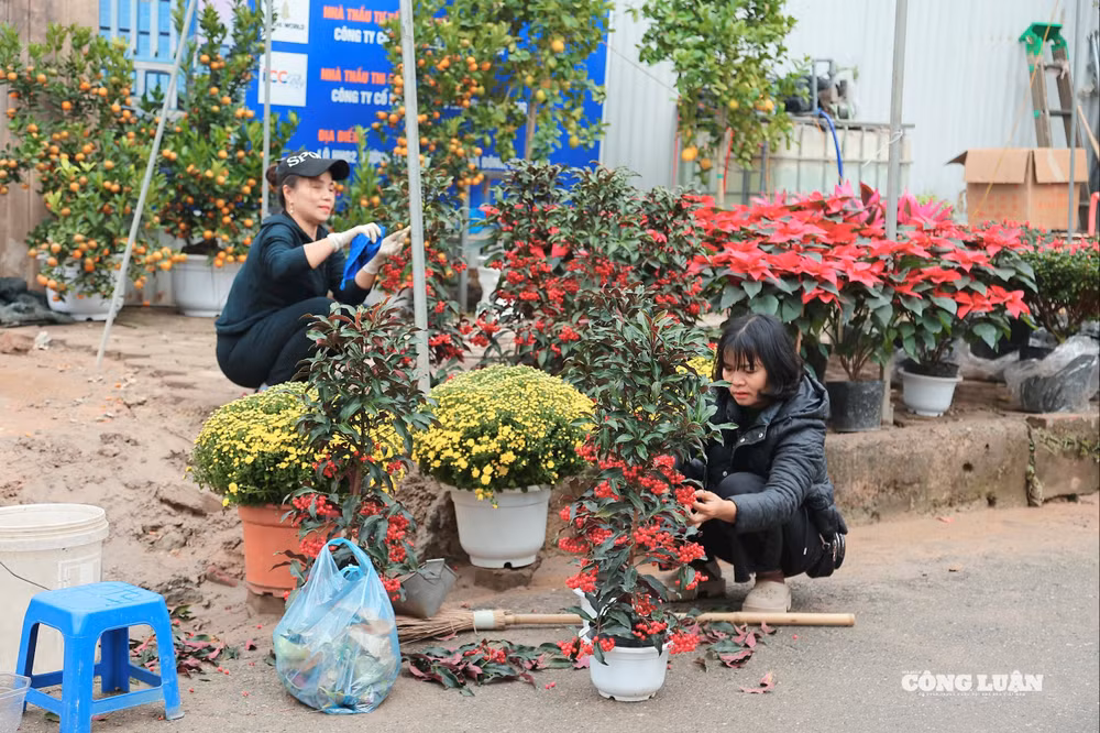 60f55ffd-65cb-4adb-8d0d-3baf535bb915_1_201_a.jpeg