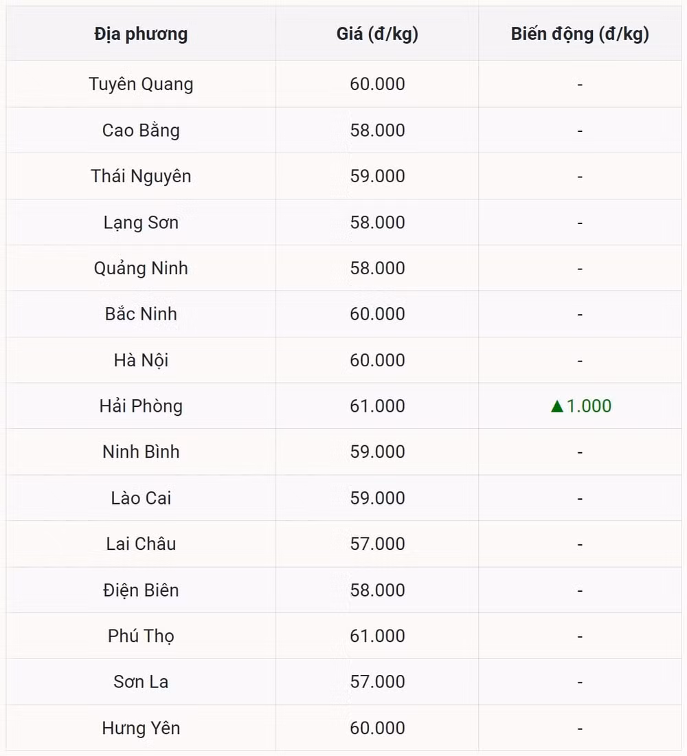 Miền Bắc nóng với một tỉnh tăng giá, các nơi khác đi ngang sau đợt tăng mạnh lên đỉnh