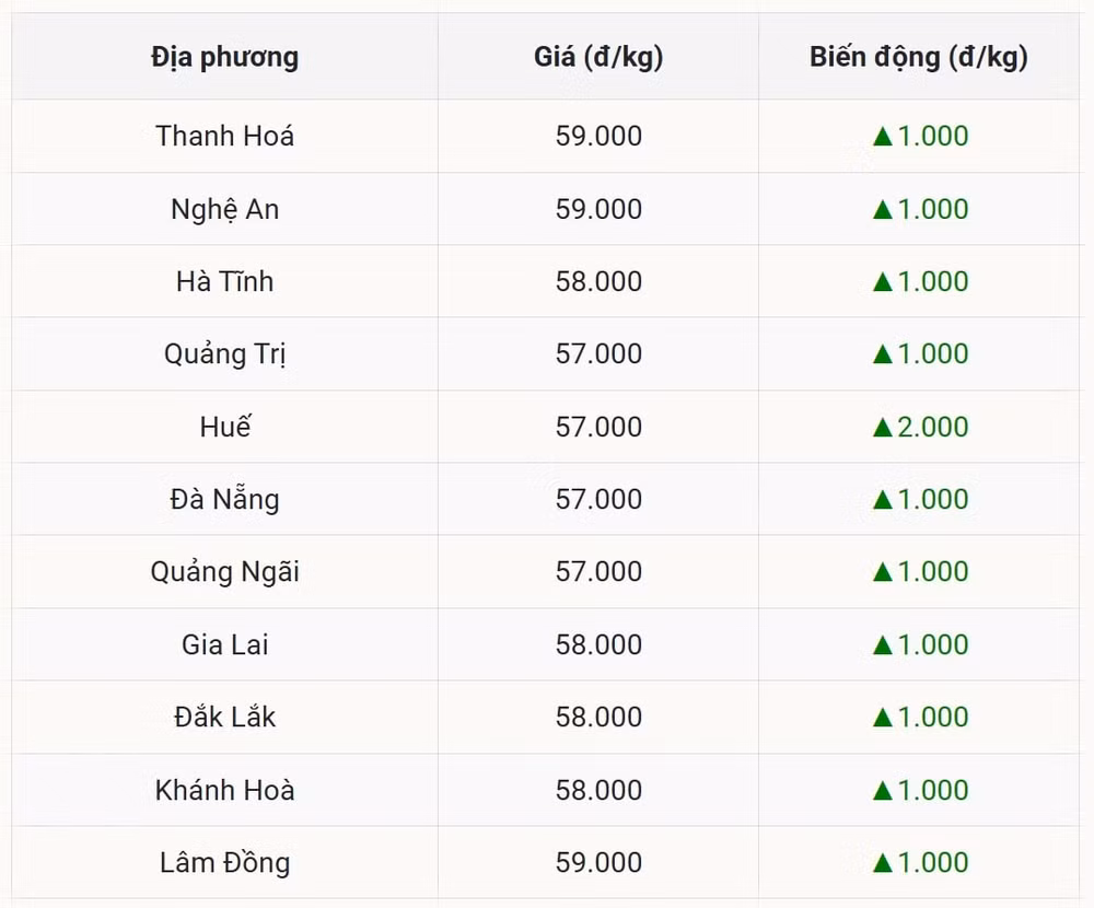Giá heo hơi hôm nay tại miền Trung - Tây Nguyên nhích nhẹ